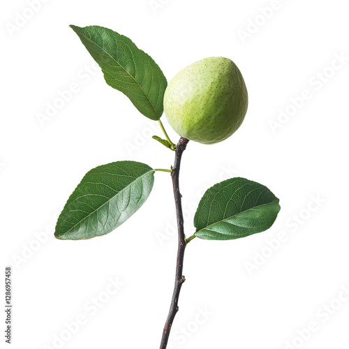 Wallpaper Mural 3D Refrigerator character isolated on transparent background, PNG Torontodigital.ca