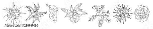 Set of different house plants top view line drawing for landscape, architectural, interior design. Landscaping constructor. Vector outline illustrations isolated