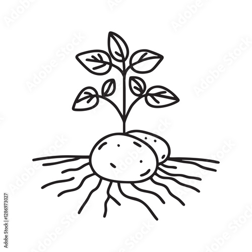 Continuous one line drawing of potato plant in soil. Potato plant single line art vector illustration