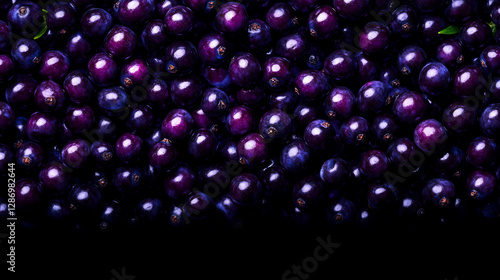 Falling dark purple juniper berries on black background for seasonal design and decor photo