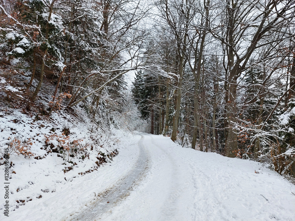 Curved winter road. Pohorje mountain under snow. Slovenia. Europe