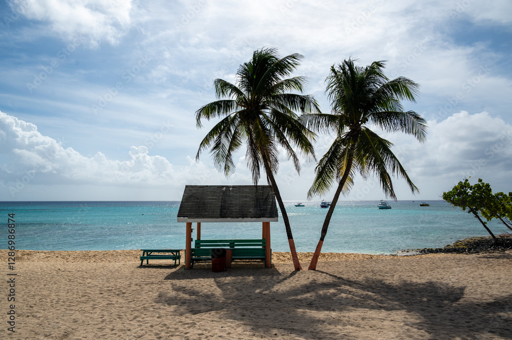 West Bay Beach in Cayman Islands. Beautiful tropical scenery West Bay Beach in Cayman Islands. Beautiful tropical scenery