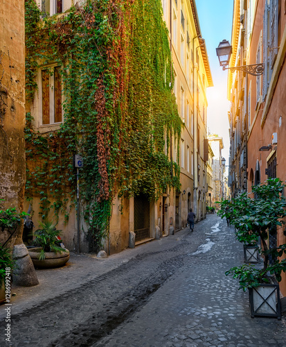 Photography View of old narrow street in Rome, Italy