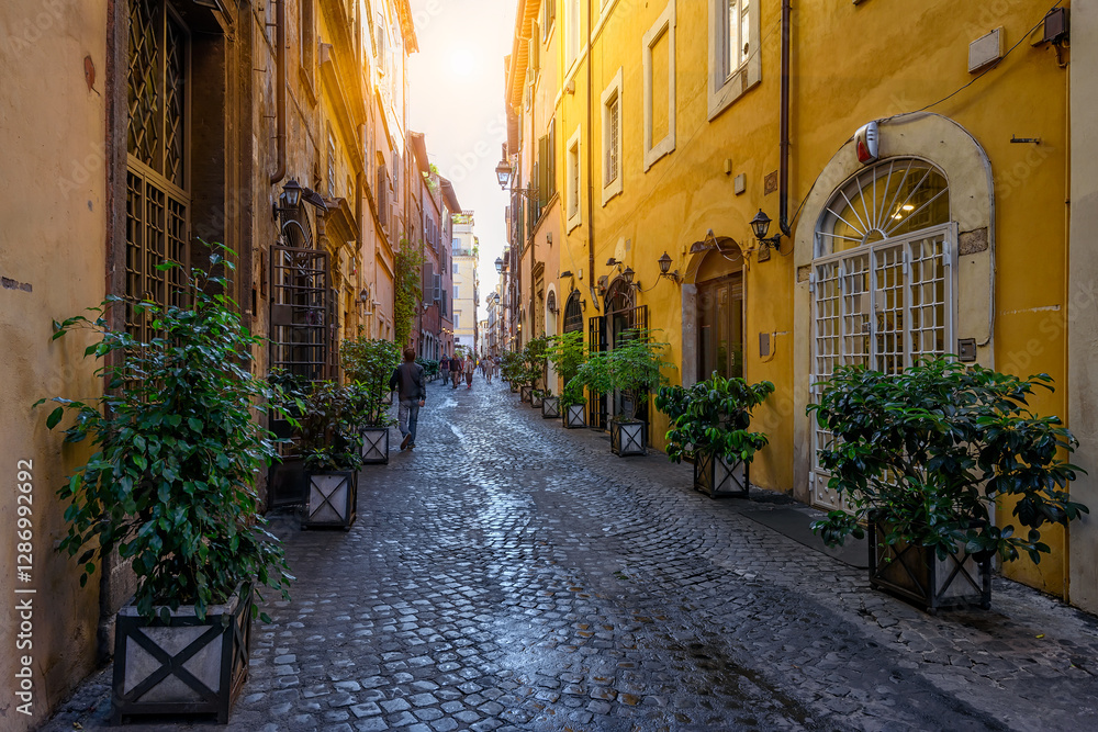 View of old narrow street in Rome, Italy. Architecture and landmark of Rome. Cozy cityscape of Rome. View of old narrow street in Rome, Italy. Architecture and landmark of Rome. Cozy cityscape of Rome.