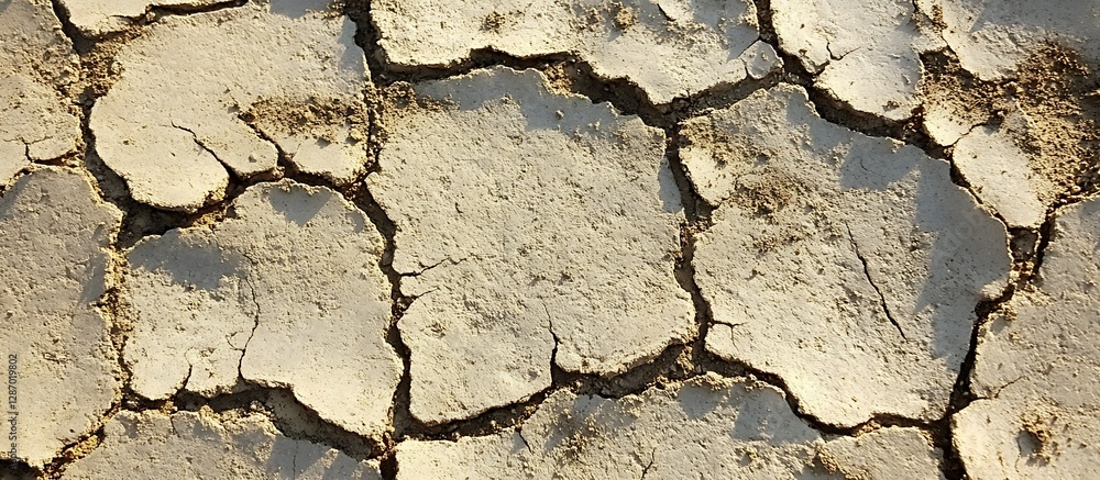 Fototapeta premium Dry cracked earth texture