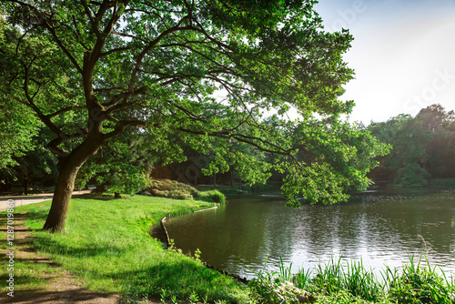 Photos Tranquil Park with Majestic Tree by Calm Lake under Blue Sky and White Clouds