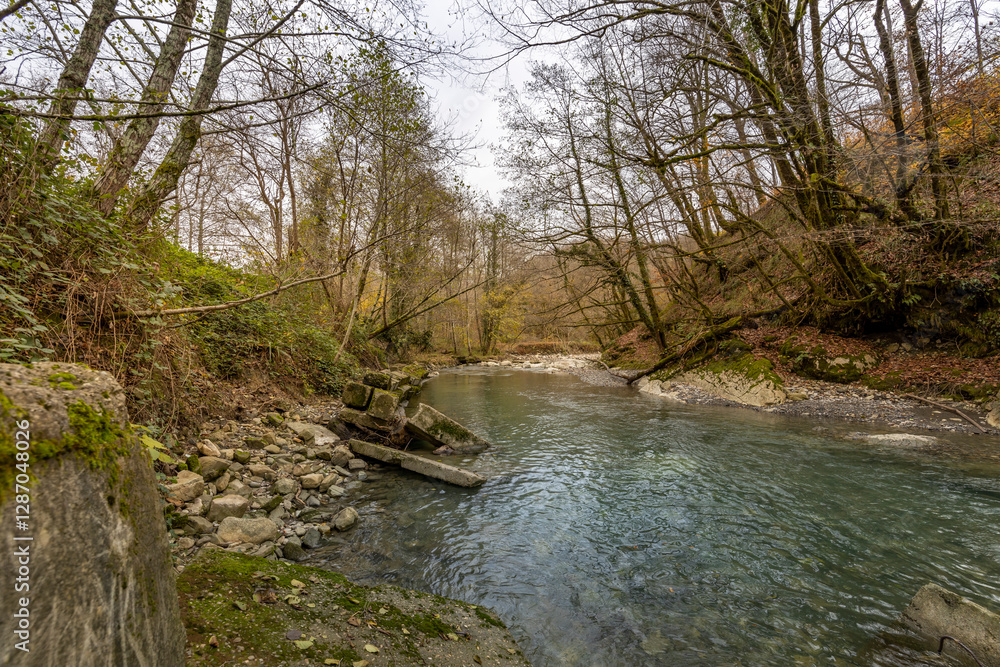 Fototapeta premium River with a forest in the background