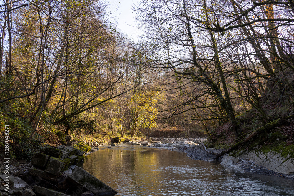Naklejka premium River with trees on either side