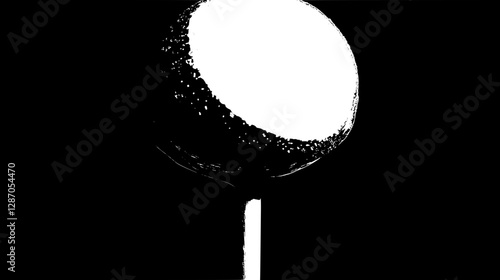 Elegant Black and White Lollipop Close-Up