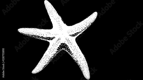 Stunning Close-up of a White Starfish