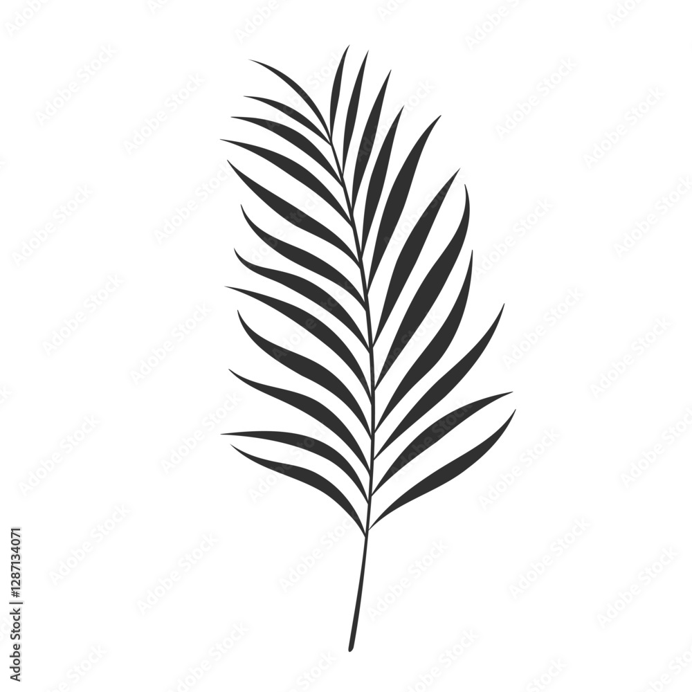 Palm leaf isolated on white background. Black palm leaf silhouette. Tropical tree. Coconut plant. Vector illustration Palm leaf isolated on white background. Black palm leaf silhouette. Tropical tree. Coconut plant. Vector illustration