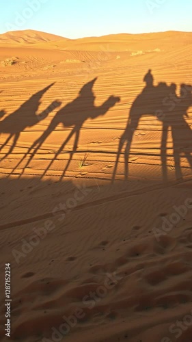 merzouga desert in morocco with camel caravan shadows on golden sand dunes at sunset 