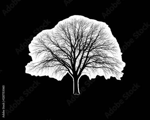 Majestic Bare Tree Silhouette in Monochrome