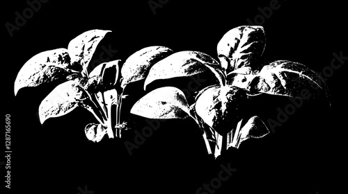 Close up of vibrant green plant sprouts