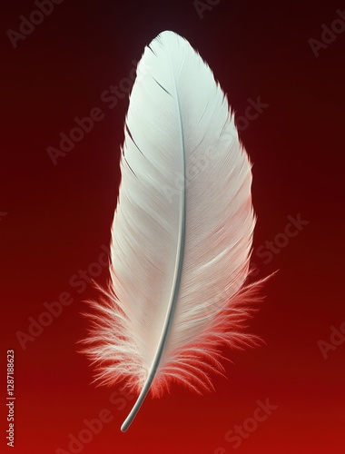White feather on red gradient background	