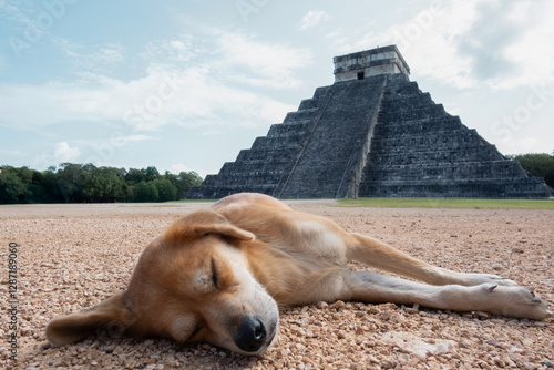 Chichen Itza with a dog sleeping in the foreground photo