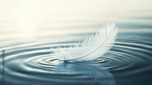 Feather floating on calm water surface	