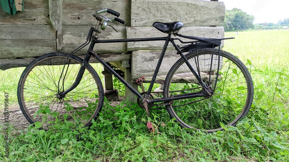old bicycle in the garden old bicycle in the garden