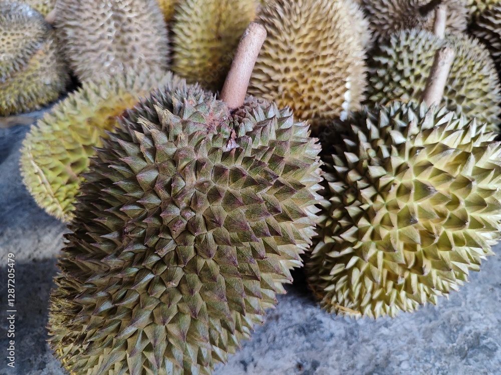 Group of fresh local durian from Indonesia Group of fresh local durian from Indonesia