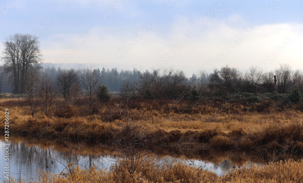 Dry grass and tranquil river during autumn Dry grass and tranquil river during autumn