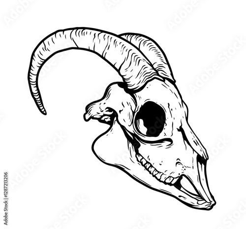 Goat Skull Digital Hand Drawn Line art Sketch Vector illustration in Retro Engraving Style. High Detailed Vintage Vector Illustration. Dramatic and detailed artwork of a black-horned goat skull. 