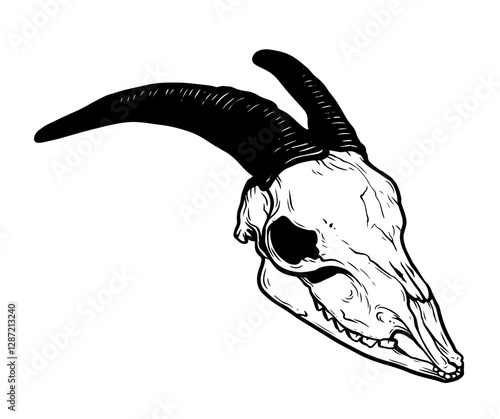 Goat Skull Digital Hand Drawn Line art Sketch Vector illustration in Retro Engraving Style. High Detailed Vintage Vector Illustration. Dramatic and detailed artwork of a black-horned goat skull. 