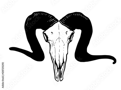 Goat Skull Digital Hand Drawn Line art Sketch Vector illustration in Retro Engraving Style. High Detailed Vintage Vector Illustration. Dramatic and detailed artwork of a black-horned goat skull. 