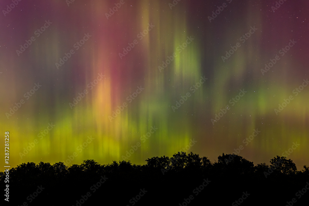 Northern lights flow over forest Northern lights flow over forest