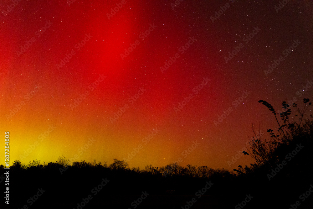 Fototapeta premium Northern lights flow over forest