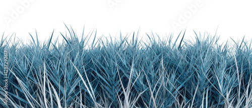 A vibrant, stylized depiction of blue grass against a black background, creating a striking visual contrast. isolated on white background.