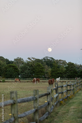 Horses grazing in a peaceful pasture under a pastel sky with a full moon.