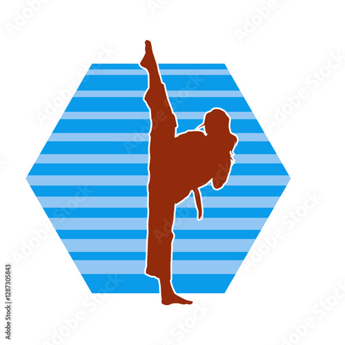 Silhouette of a woman kicking pose. Silhouette of a female martial art in action pose.