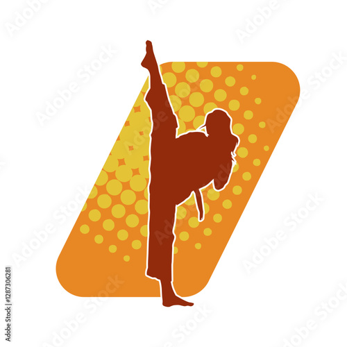 Silhouette of a woman kicking pose. Silhouette of a female martial art in action pose.