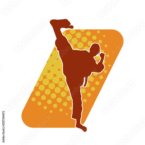 Silhouette of a woman kicking pose. Silhouette of a female martial art in action pose.