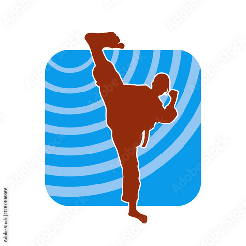 Silhouette of a woman kicking pose. Silhouette of a female martial art in action pose.