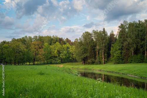 Fototapeta Naklejka Na Ścianę i Meble -  Slavyanka River Valley in the landscape part of the Pavlovsk Palace and Park Complex on a sunny summer day, Pavlovsk, Saint Petersburg, Russia