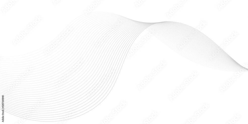 Abstract digital smooth white and grey curve wavy lines wave graphic thin white background design.