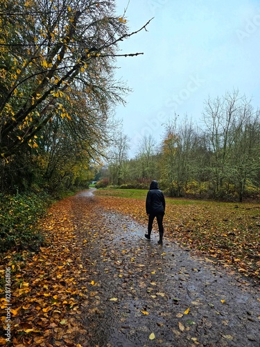 A lone walk on a rainy and beauty Autumn day in the beautiful Pacific Northwest.