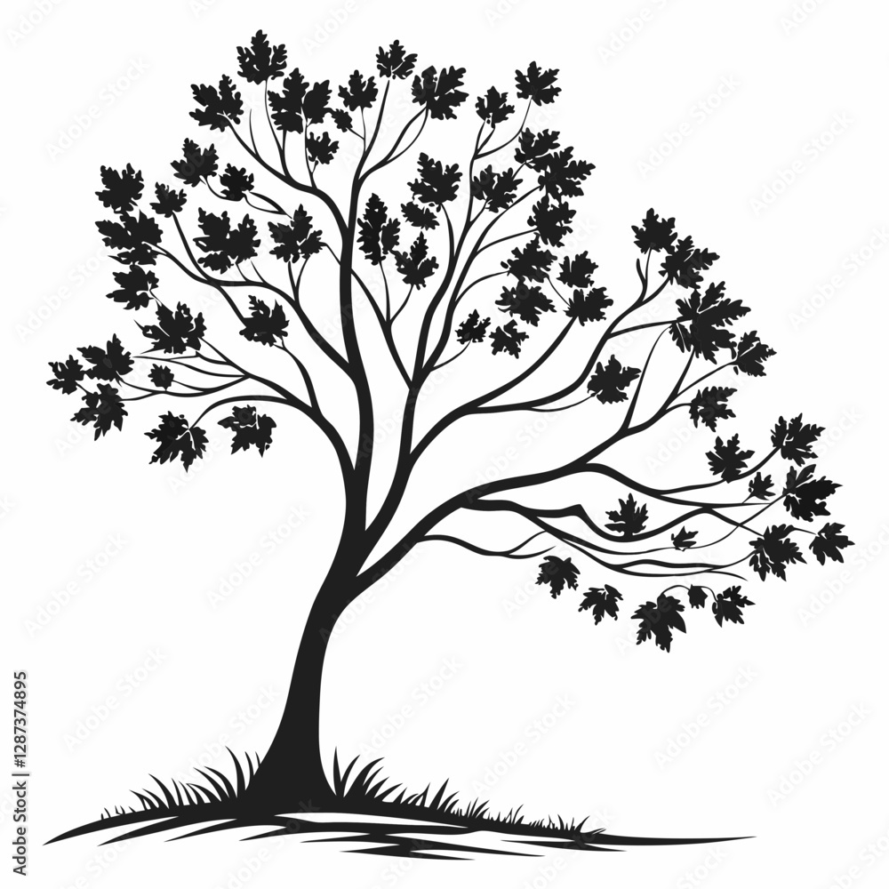 Fototapeta premium Maple tree silhouette vector illustration