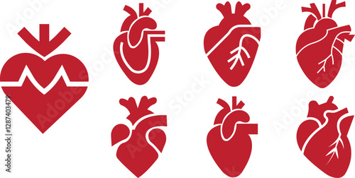 Human anatomical heart red flat icons set. Heart diagnostic center signs. Ideal for medical, healthcare or biology-related themes and vectors illustration isolated on transparent background.