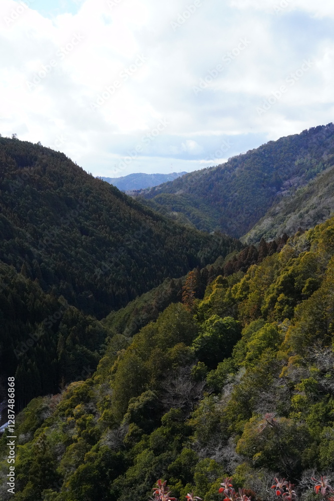 Fototapeta premium 日本の山の風景