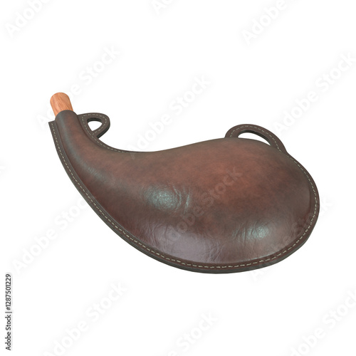Φωτογραφία Waterskin, 3d illustration isolated on white background