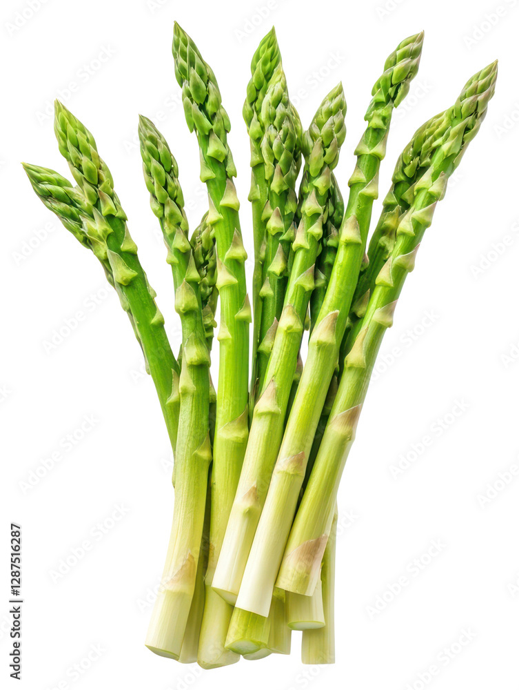 Fototapeta premium PNG Real fresh Asparagus asparagus vegetable background.