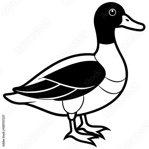 duck vector illustration