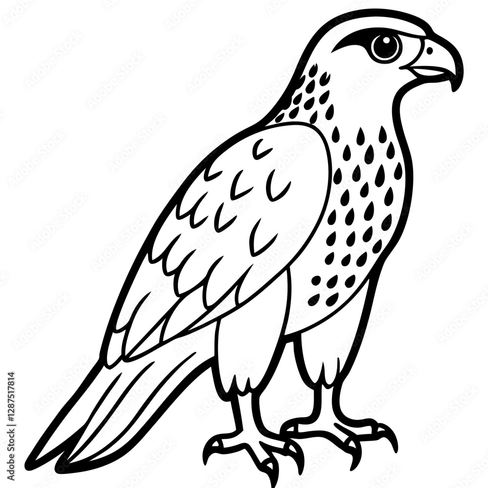 bird of prey bird of prey