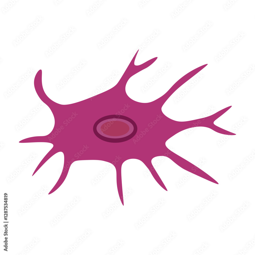 Osteocyte Osteocyte