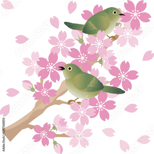 春　メジロ　桜　お花見　あしらい　飾り　鳥　イラスト素材