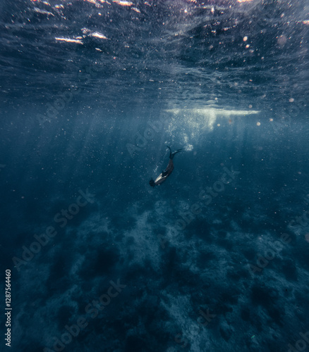 Obraz na płótnie Free diver exploring deep blue ocean with sunbeams penetrating the surface