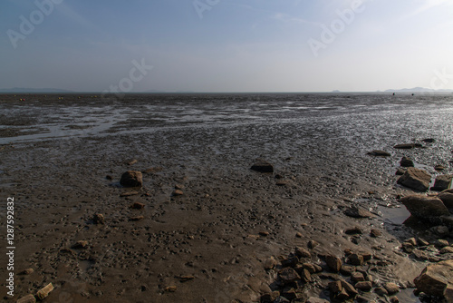 mudflat at the seaside