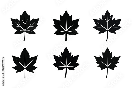 Maple Leaf (Acer spp.) silhouette vector illustration